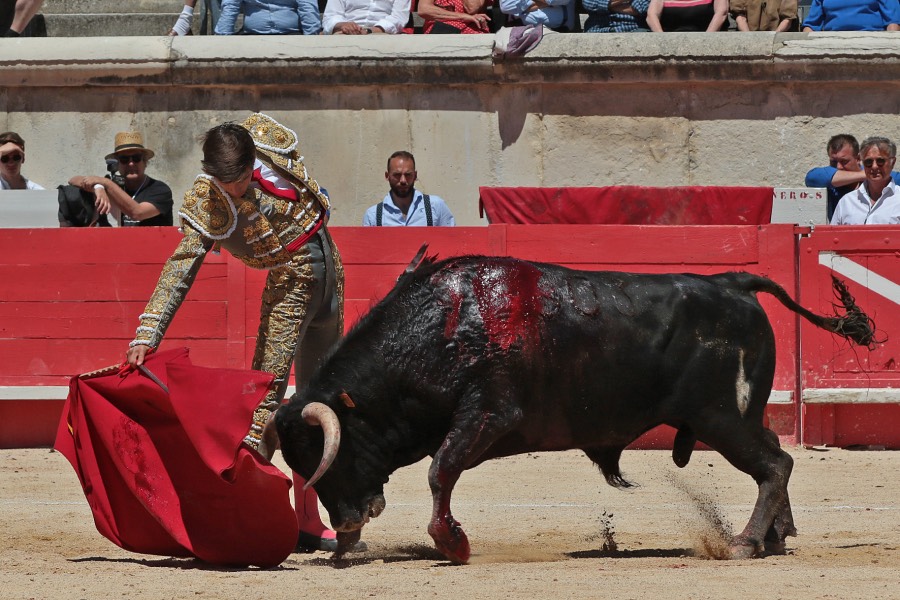 Nimes, sábado 8 de junio de 2019. Matinal