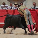 Nimes, sábado 8 de junio de 2019. Matinal