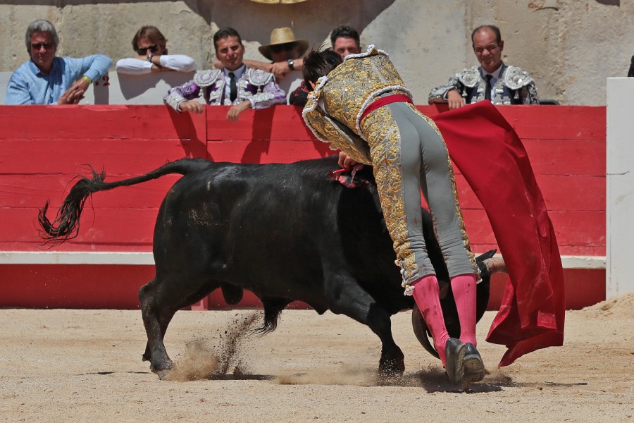 Nimes, sábado 8 de junio de 2019. Matinal