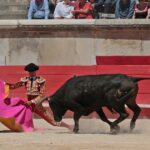 Nimes, sábado 8 de junio de 2019. Matinal