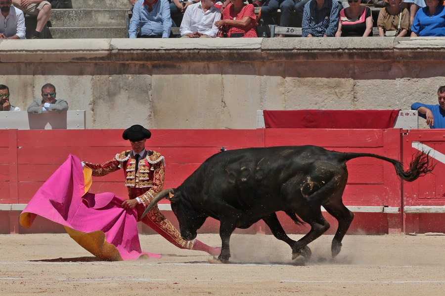Nimes, sábado 8 de junio de 2019. Matinal
