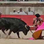 Nimes, sábado 8 de junio de 2019. Matinal
