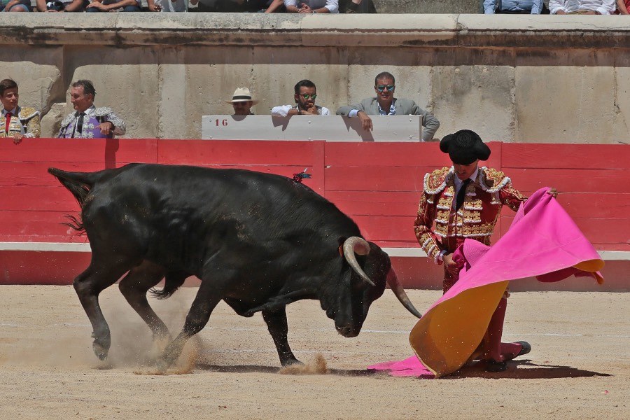 Nimes, sábado 8 de junio de 2019. Matinal