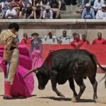 Nimes, sábado 8 de junio de 2019. Matinal
