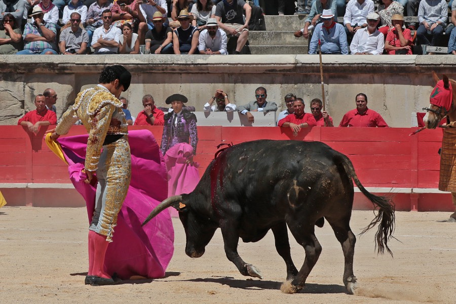 Nimes, sábado 8 de junio de 2019. Matinal