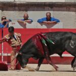 Nimes, sábado 8 de junio de 2019. Matinal