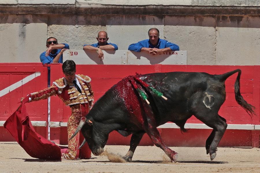 Nimes, sábado 8 de junio de 2019. Matinal