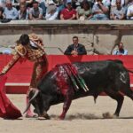 Nimes, sábado 8 de junio de 2019. Matinal