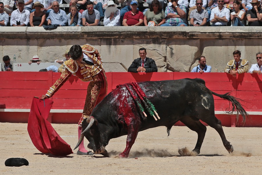 Nimes, sábado 8 de junio de 2019. Matinal