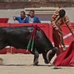 Nimes, sábado 8 de junio de 2019. Matinal