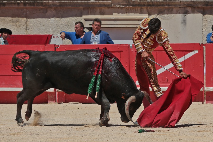 Nimes, sábado 8 de junio de 2019. Matinal