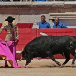 Nimes, sábado 8 de junio de 2019. Matinal