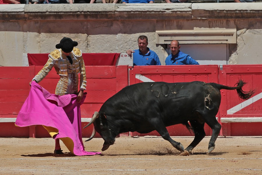 Nimes, sábado 8 de junio de 2019. Matinal