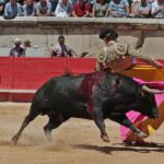 Nimes, sábado 8 de junio de 2019. Matinal