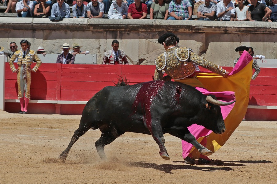 Nimes, sábado 8 de junio de 2019. Matinal