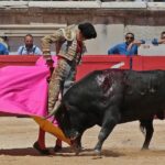 Nimes, sábado 8 de junio de 2019. Matinal