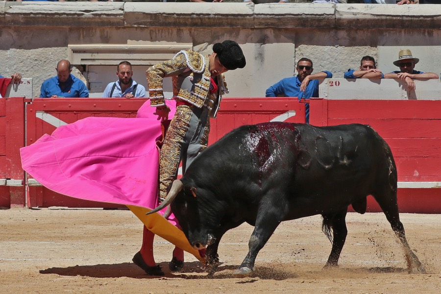 Nimes, sábado 8 de junio de 2019. Matinal