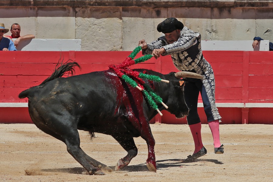 Nimes, sábado 8 de junio de 2019. Matinal