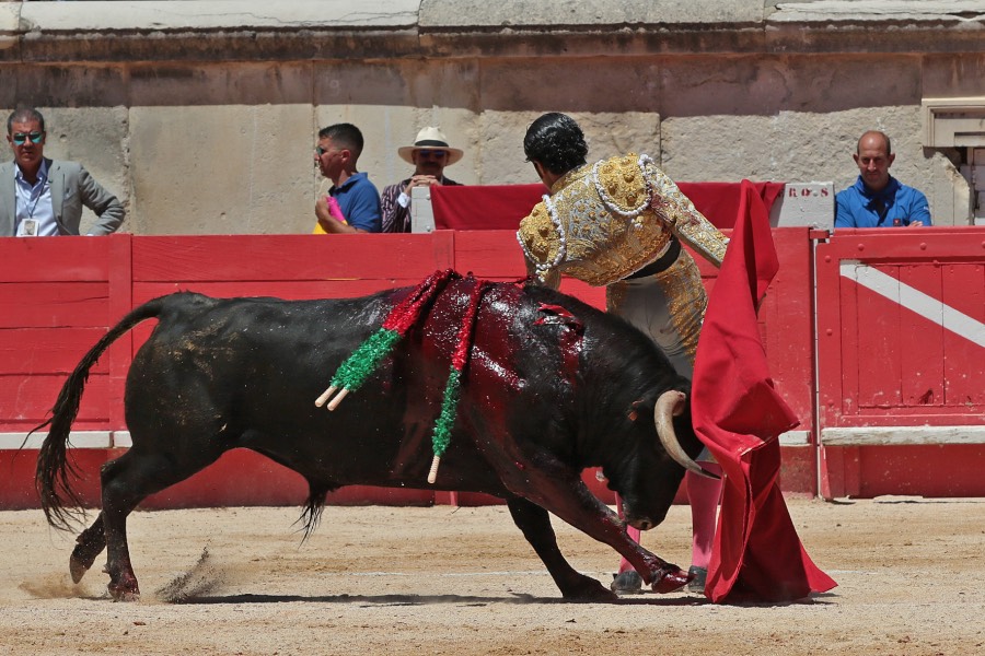 Nimes, sábado 8 de junio de 2019. Matinal