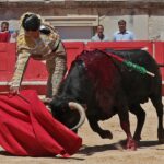 Nimes, sábado 8 de junio de 2019. Matinal