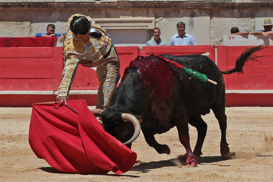 Nimes, sábado 8 de junio de 2019. Matinal