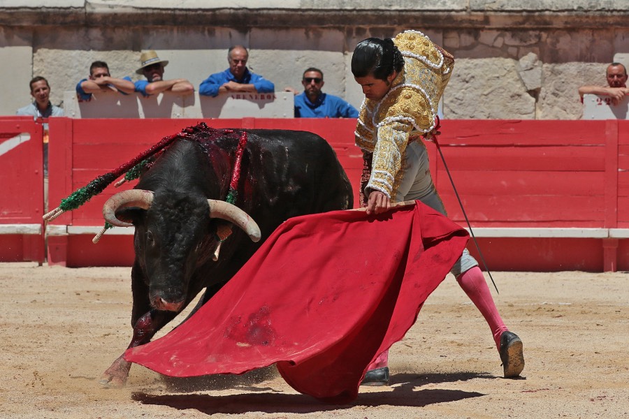 Nimes, sábado 8 de junio de 2019. Matinal