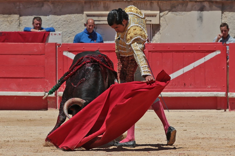 Nimes, sábado 8 de junio de 2019. Matinal