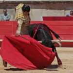 Nimes, sábado 8 de junio de 2019. Matinal