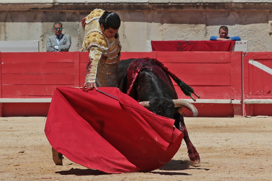 Nimes, sábado 8 de junio de 2019. Matinal