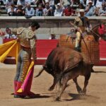 Nimes, sábado 8 de junio de 2019. Matinal