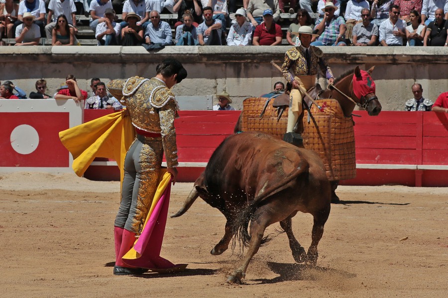 Nimes, sábado 8 de junio de 2019. Matinal