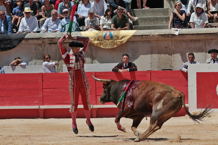 Nimes, sábado 8 de junio de 2019. Matinal