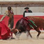 Nimes, sábado 8 de junio de 2019. Matinal