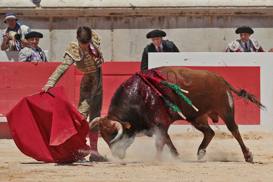 Nimes, sábado 8 de junio de 2019. Matinal