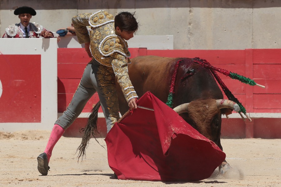 Nimes, sábado 8 de junio de 2019. Matinal