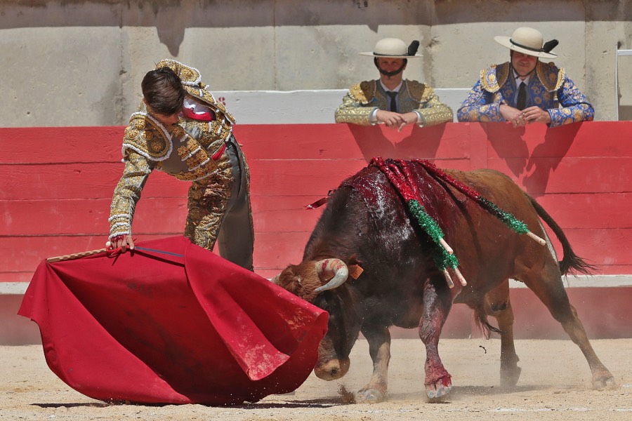 Nimes, sábado 8 de junio de 2019. Matinal