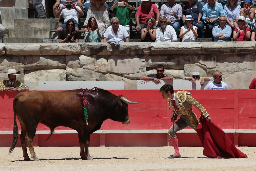 Nimes, sábado 8 de junio de 2019. Matinal
