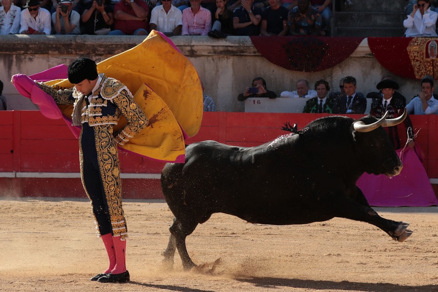 Nimes, sábado 8 de junio de 2019. Tarde