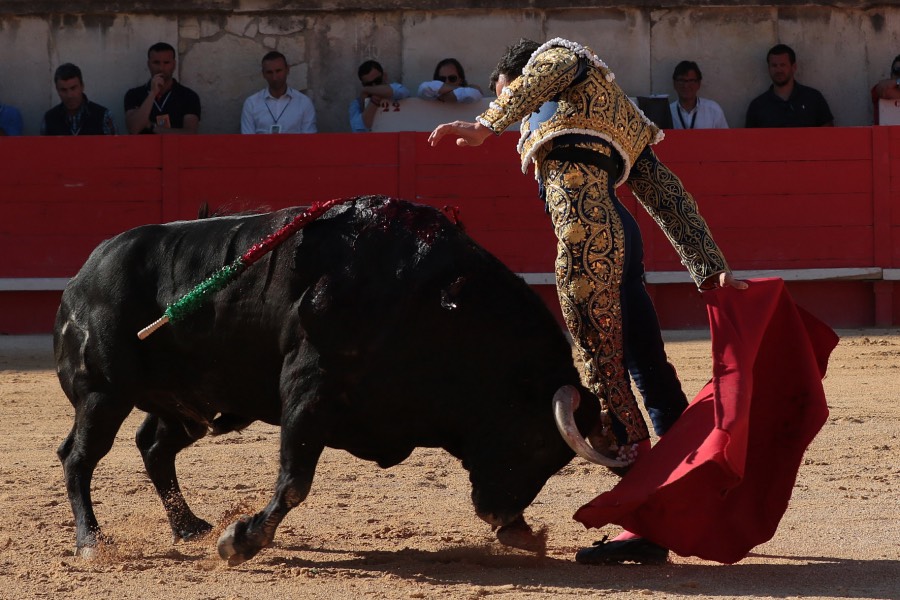 Nimes, sábado 8 de junio de 2019. Tarde