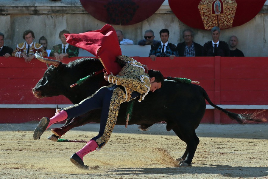 Nimes, sábado 8 de junio de 2019. Tarde