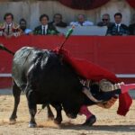Nimes, sábado 8 de junio de 2019. Tarde