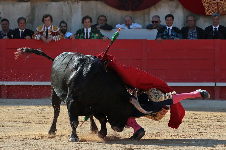 Nimes, sábado 8 de junio de 2019. Tarde
