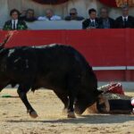 Nimes, sábado 8 de junio de 2019. Tarde