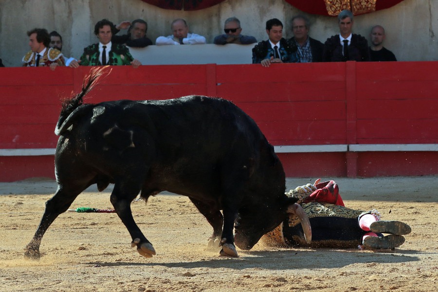 Nimes, sábado 8 de junio de 2019. Tarde