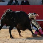 Nimes, sábado 8 de junio de 2019. Tarde