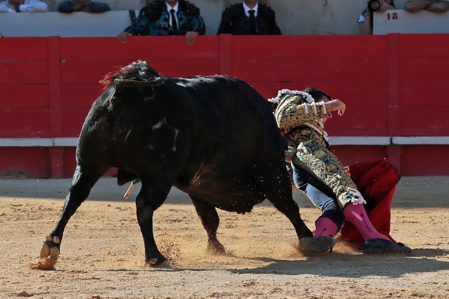 Nimes, sábado 8 de junio de 2019. Tarde