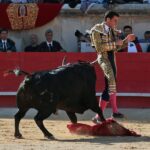 Nimes, sábado 8 de junio de 2019. Tarde
