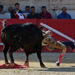 Nimes, sábado 8 de junio de 2019. Tarde
