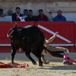 Nimes, sábado 8 de junio de 2019. Tarde