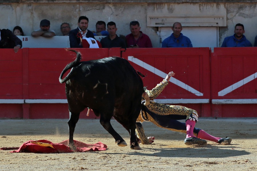 Nimes, sábado 8 de junio de 2019. Tarde